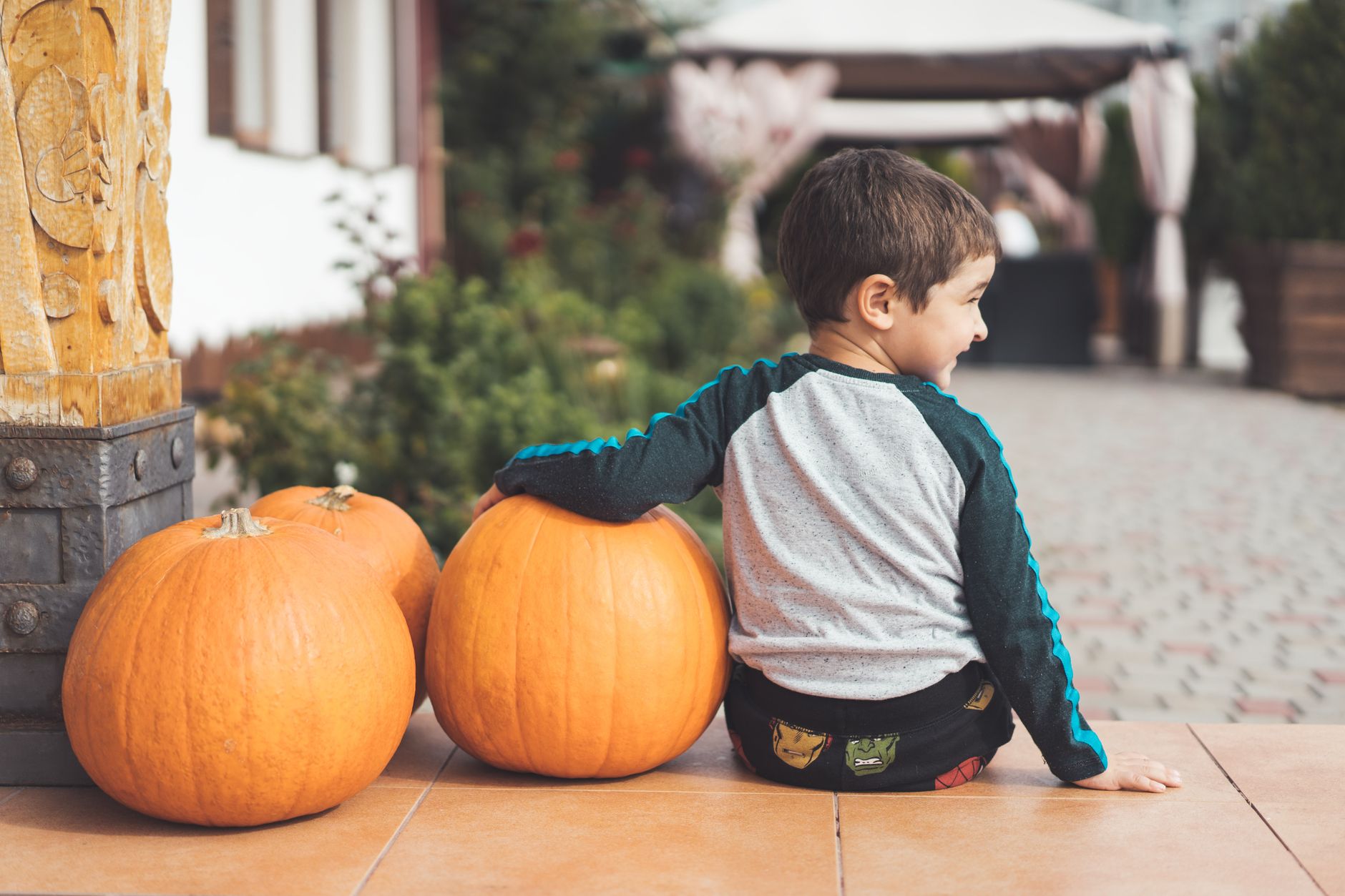 A young boy sits with pumpkins in a garden during fall, evoking a festive seasonal atmosphere.