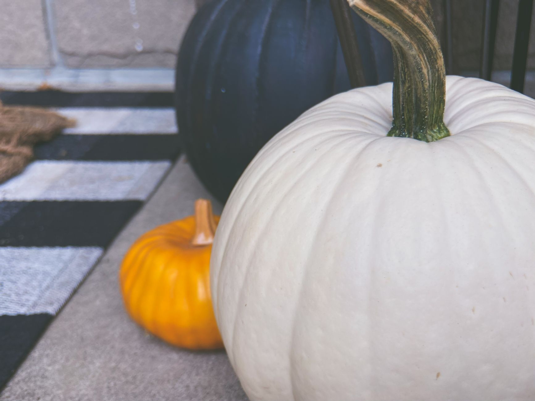 Close-up of white, black, and orange pumpkins on a checkered mat, embodying autumn decor aesthetics.