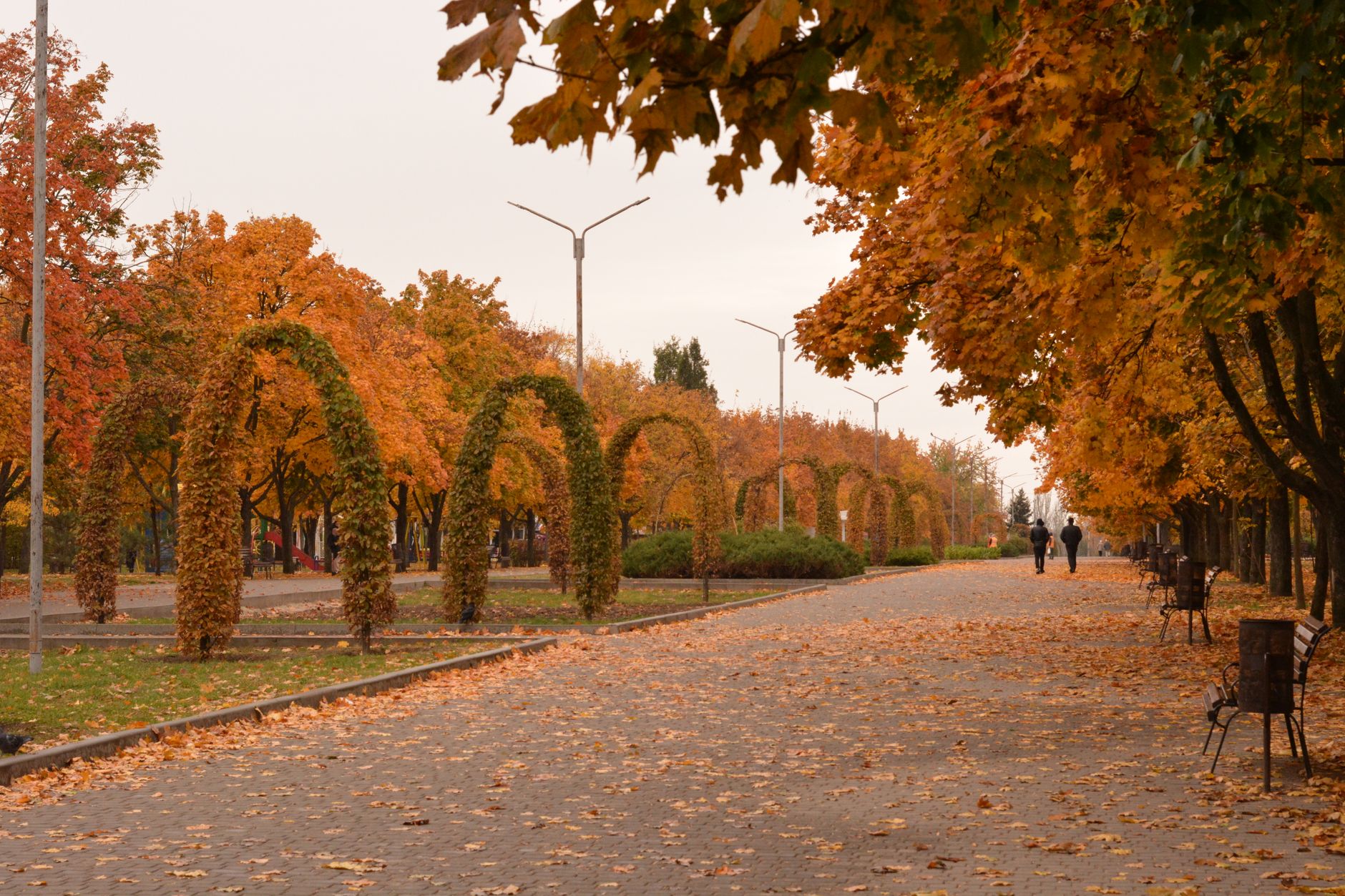 A tranquil park scene with autumn leaves and arched greenery, perfect for a fall stroll.