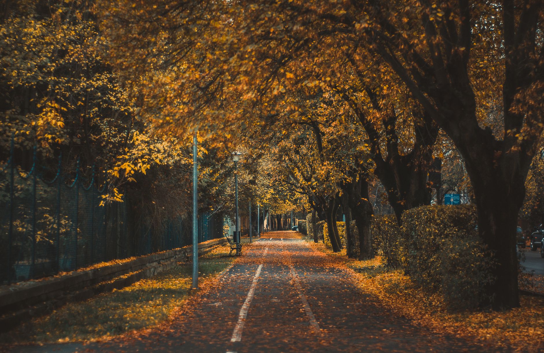 A peaceful urban park pathway surrounded by colorful autumn foliage and empty benches.