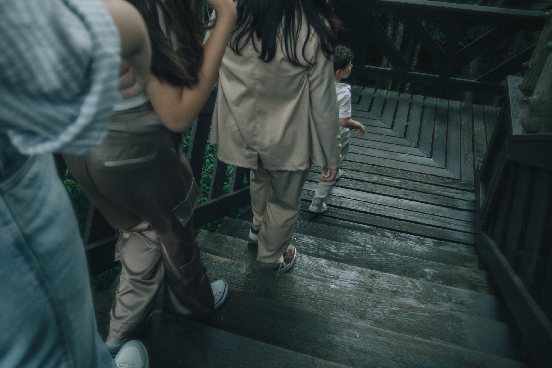 A family group walking down a wooden staircase surrounded by trees.